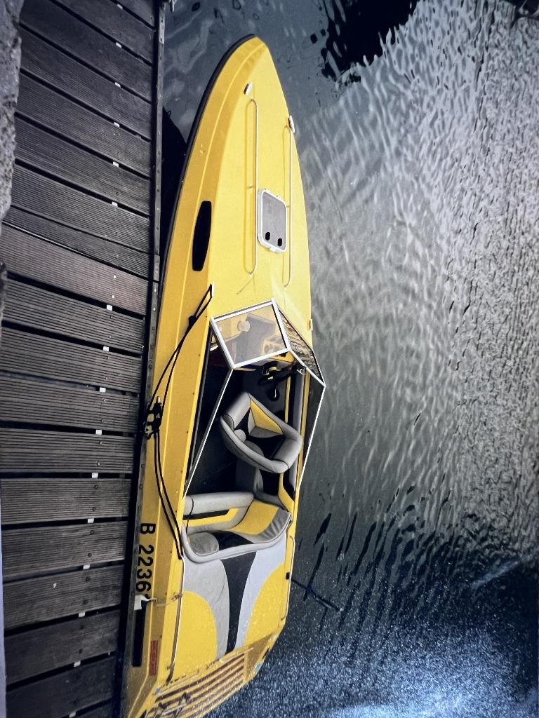 Speedboot Royale 205 met Riba trailer, Ophalen, Gebruikt, Binnenboordmotor, 6 meter of meer