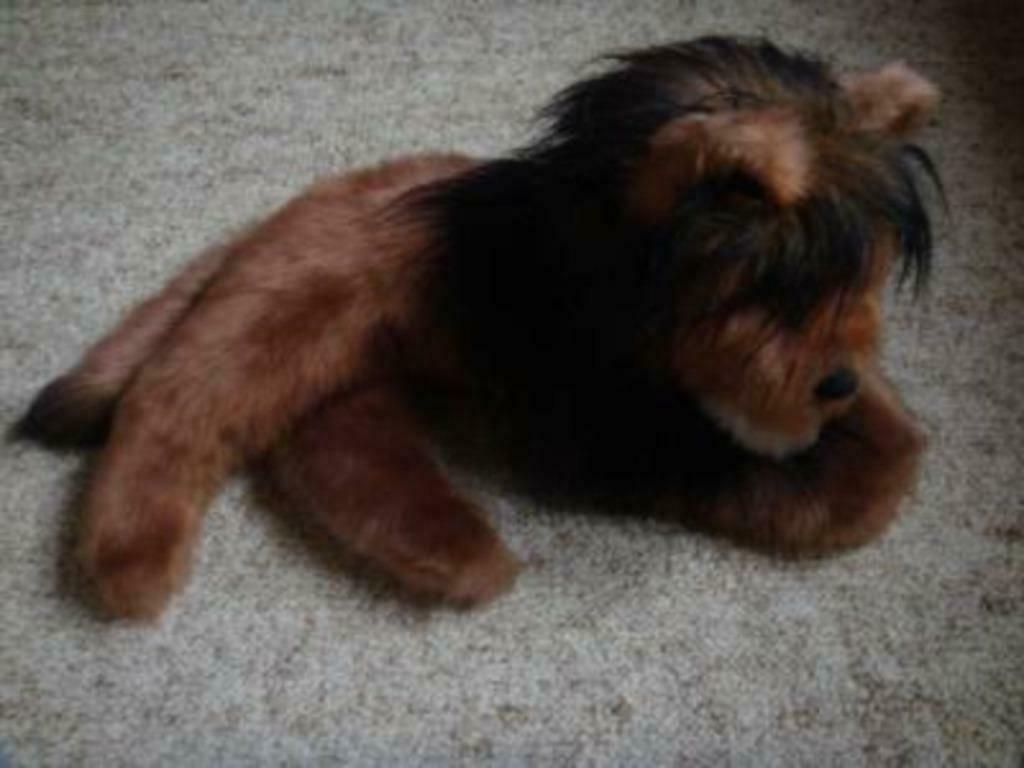 Lion en peluche, Enlèvement ou Envoi, Comme neuf, Autres types