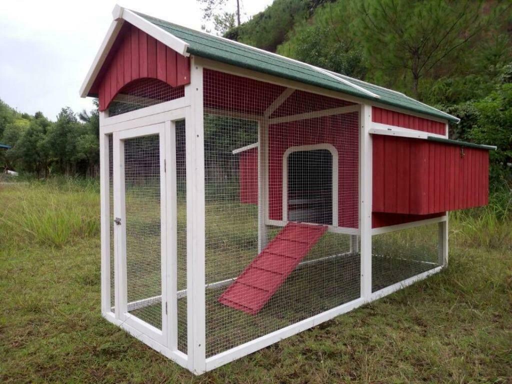 Poulailler 12-14 poules XXL abri poule volaille basse cour, Animaux & Accessoires, Volatiles | Accessoires, Neuf, Poulailler, Envoi