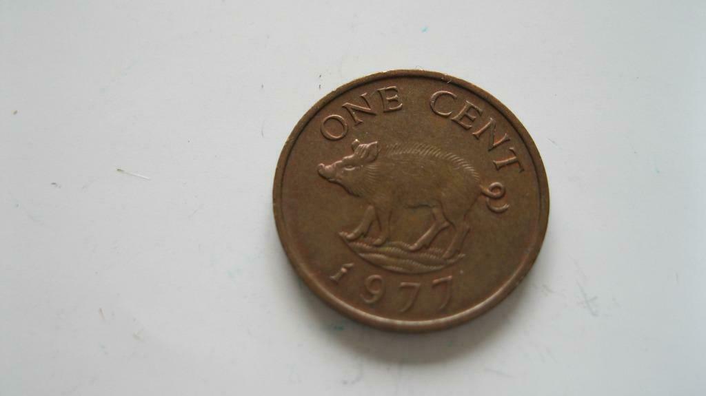 Pièce d'un cent des Bermudes 1977, Elizabeth II, bronze, Enlèvement ou Envoi, Autres pays, Monnaie en vrac