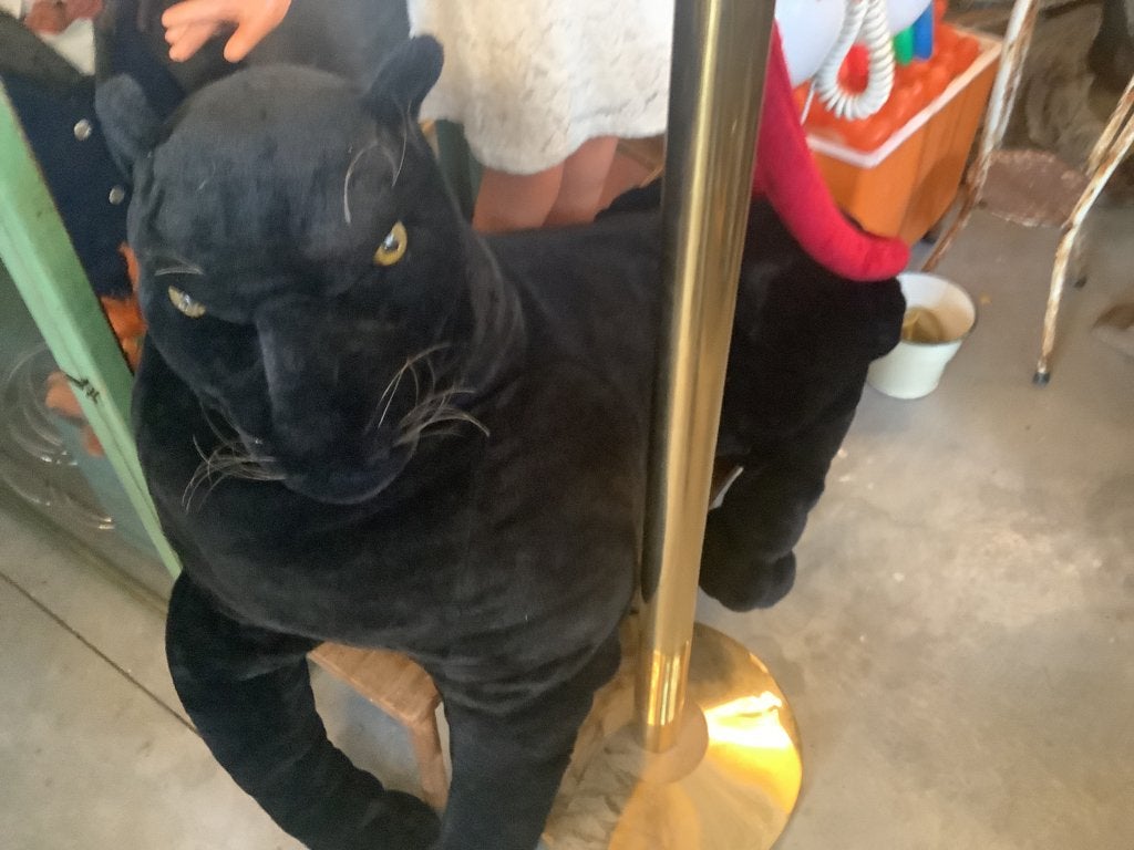 Prachtige zwarte Jaguar, Antiquités & Art, Enlèvement