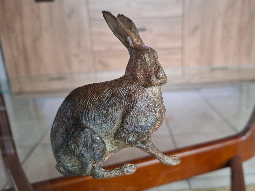 Origineel Bronzen Haas Pierre Chenet met Unieke Patina, Antiek en Kunst, Antiek | Brons en Koper, Brons, Ophalen of Verzenden
