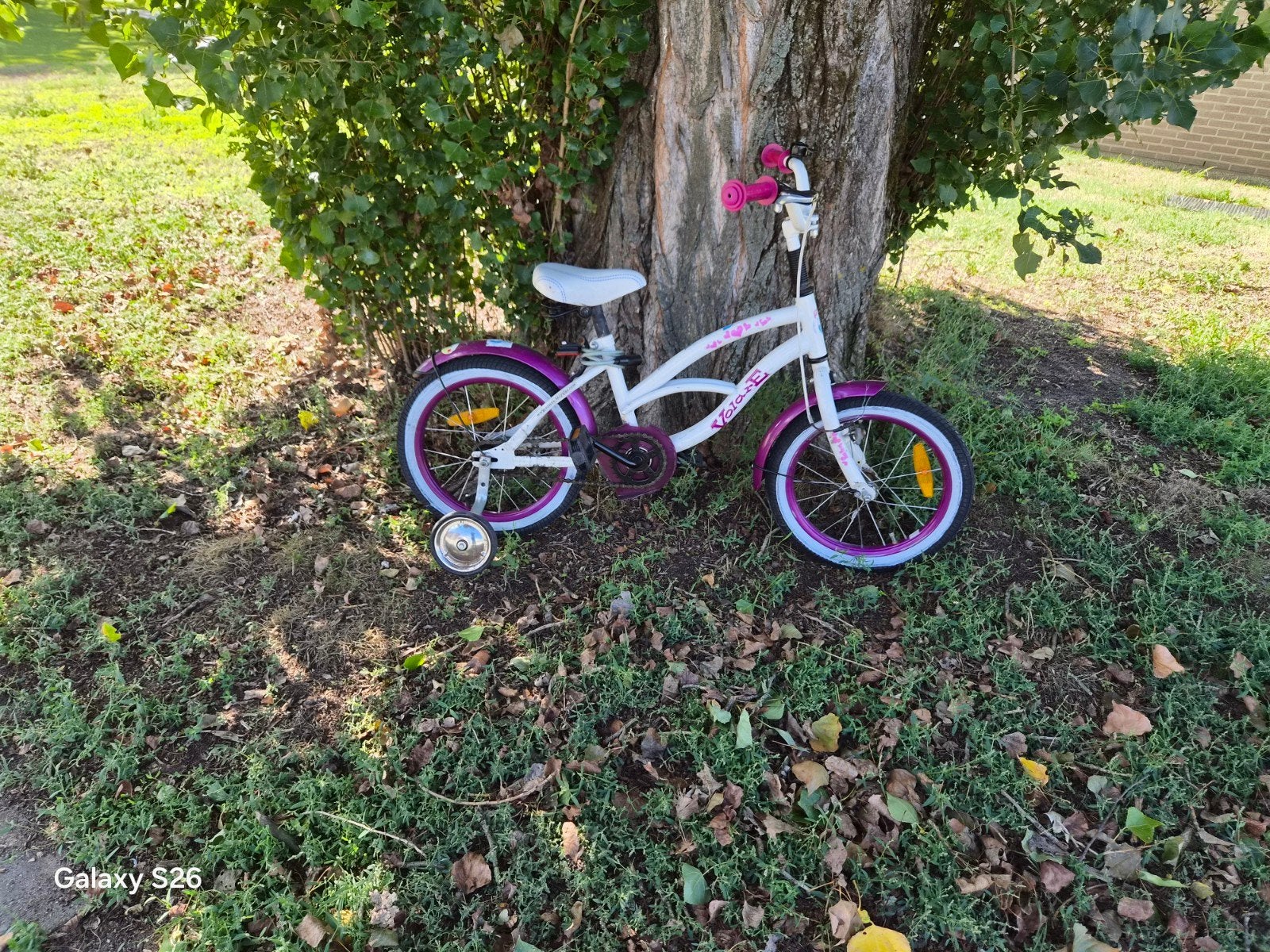12inch meisje fiets voor opmaak, Enlèvement