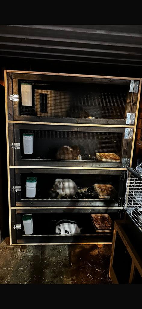 Knaagdieren flat, Dieren en Toebehoren, Knaagdieren en Konijnen | Hokken en Kooien, Zo goed als nieuw, Hok, 90 cm of meer, 110 cm of meer