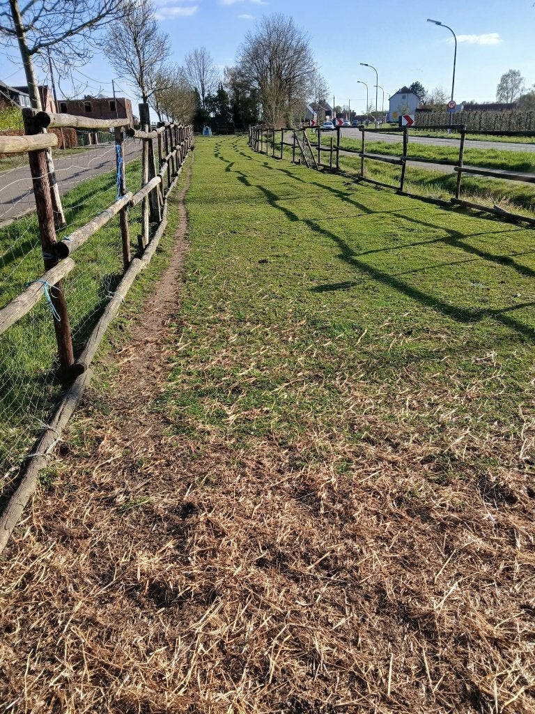 Belle prairie à vendre, Immo, Herk-de-Stad, Ventes sans courtier, 1500 m² ou plus