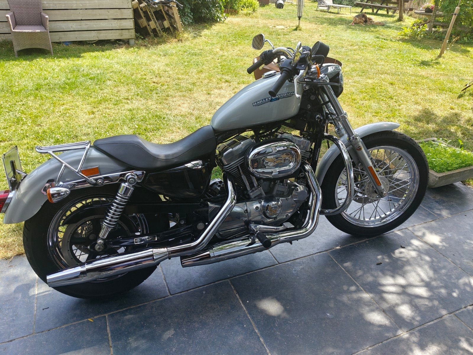 Harley Davidson Sportster xl883low, Occasion, Chopper, 2 cylindres, Particulier