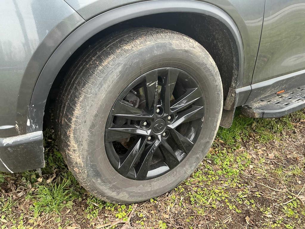 2019 SsangYong Musso Lichte vracht (5p), Auto's, SsangYong, Automaat, Gebruikt, Euro 6, Musso