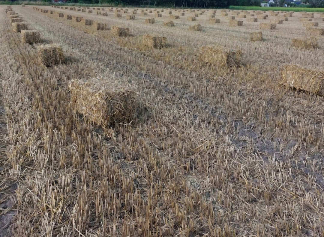 Kleine balen stro