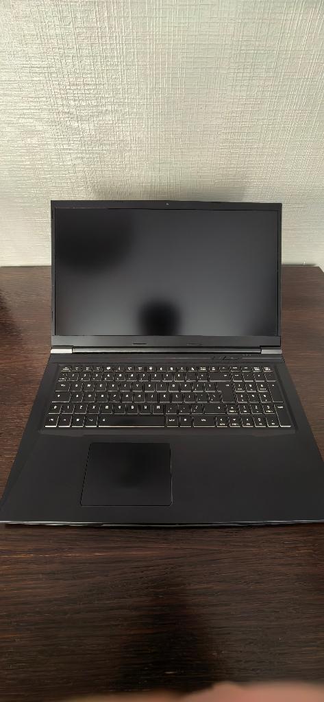 XMG CORE 17(M20)| AMD 7 4800H | RTX 2060 | 1TB ssd 32GB ram, Computers en Software, Windows Laptops, Gebruikt, 17 inch of meer