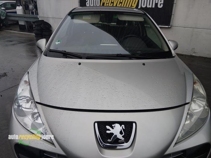Capot d'un Peugeot 207 (ETSC), -, -, 3 mois de garantie, Utilisé