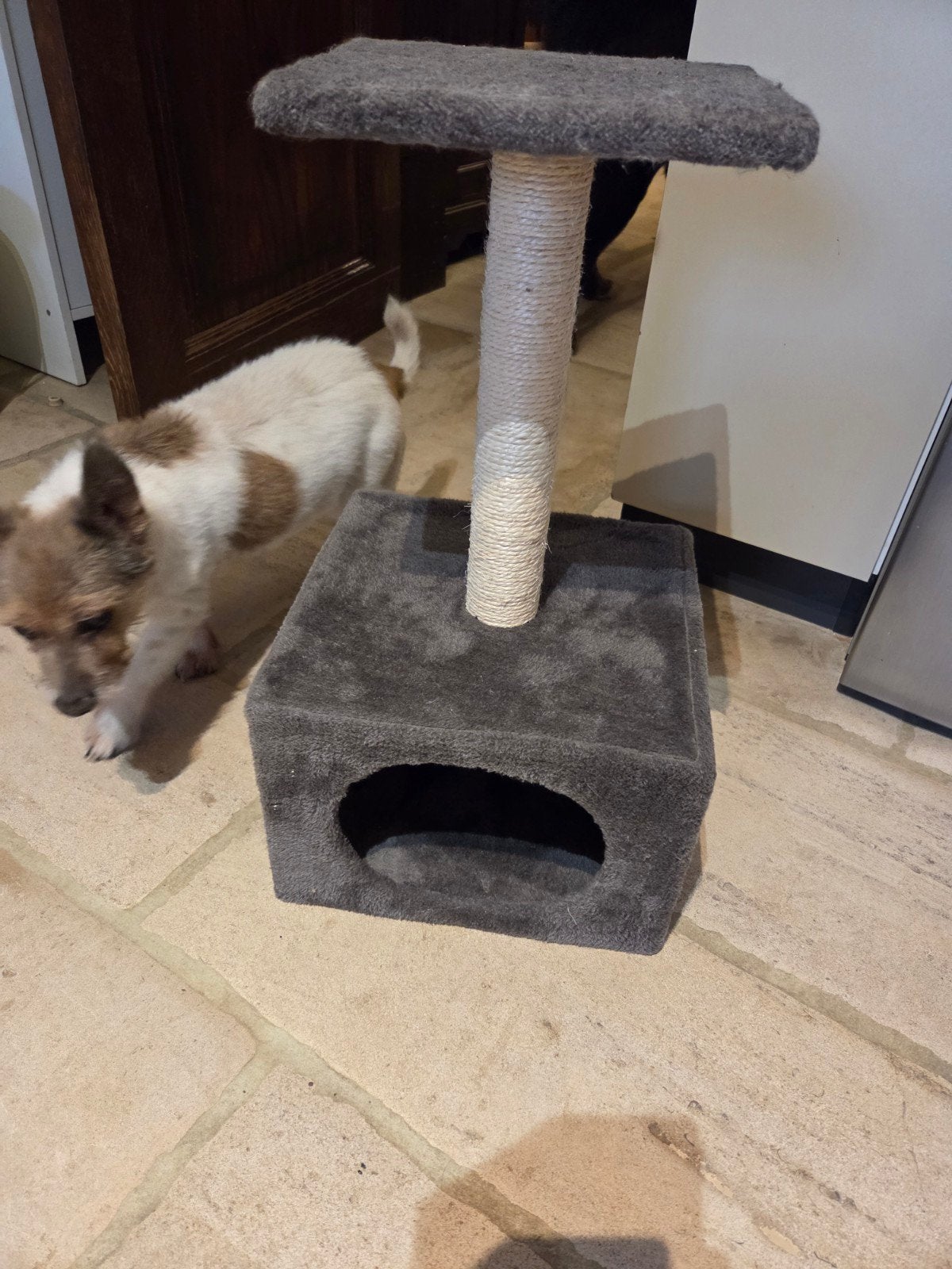 Arbre pour chat 55cm de hauteur, Animaux & Accessoires, Enlèvement