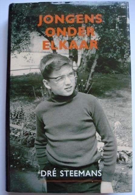 Jongens onder elkaar Dré Steemans 2006 Felice Damiano gay in, Boeken, België, Dré Steemans, Verzenden, Zo goed als nieuw