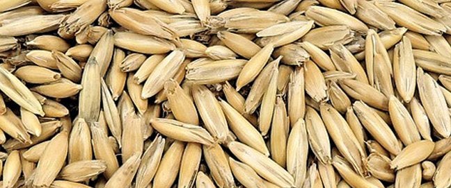 Céréales bio, Ophalen