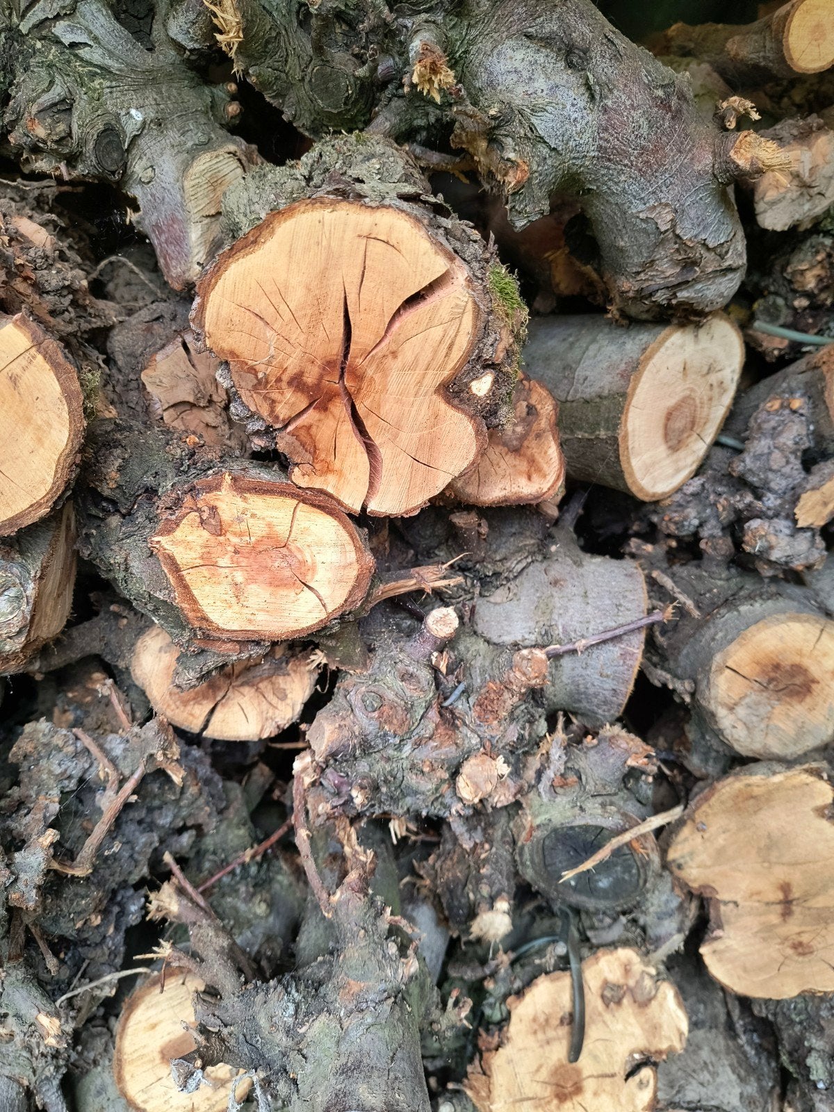 40 Kuub gezaagd appelhout te koop, 6 m³ of meer, Ophalen, Overige houtsoorten, Blokken