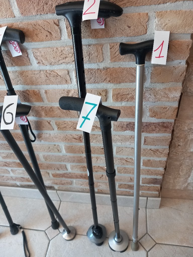 bâtons de marche, Envoi, Ajustable, Utilisé