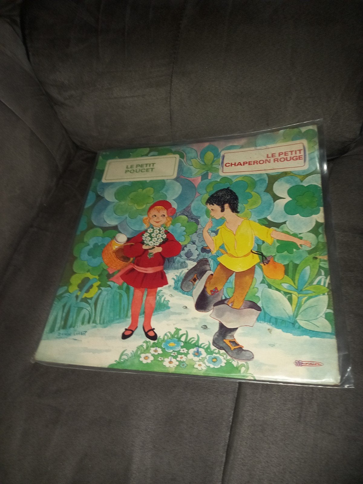 Vinyle le petit poucet, le petit chaperon rouge, CD & DVD, Vinyles | Enfants & Jeunesse, Enlèvement ou Envoi