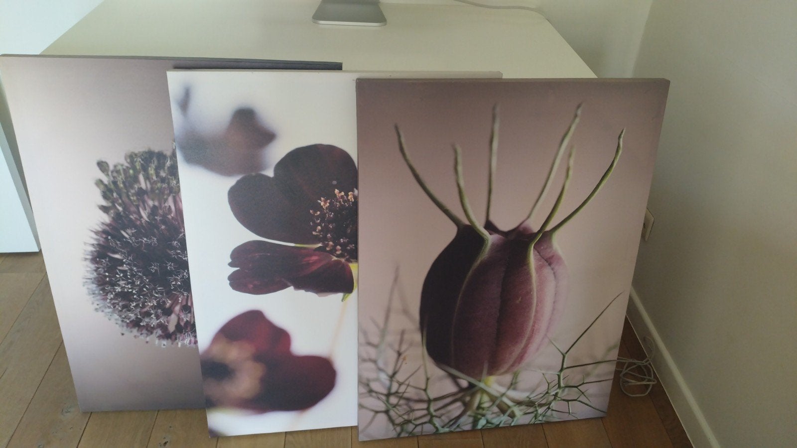 3 grote canvas kaders met bloemenfoto's, Huis en Inrichting, Ophalen