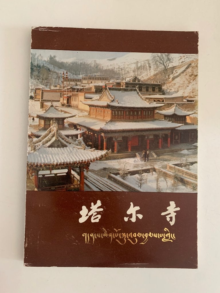 Tala temple, Livres, Art & Culture | Architecture, Enlèvement ou Envoi, Utilisé