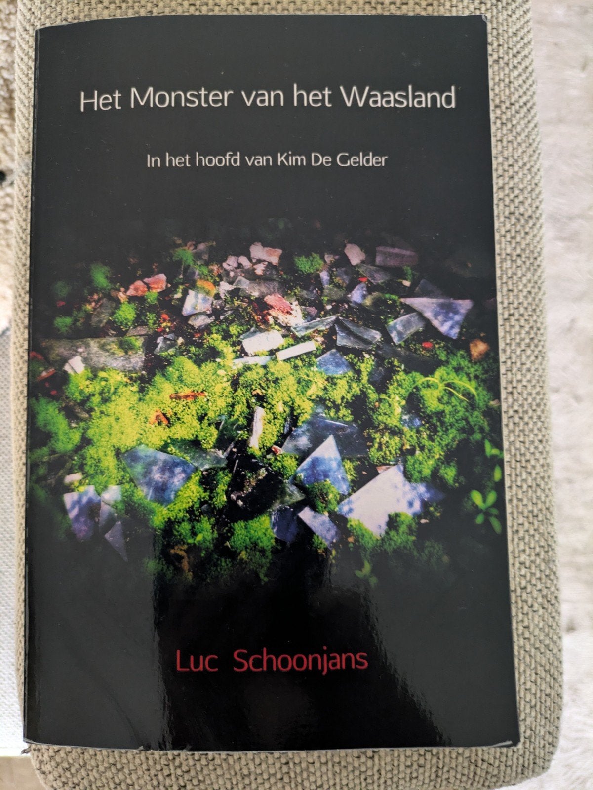 Boek Het Monster van het Waasland - Luc Schoonjans, Ophalen of Verzenden, Luc Schoonjans