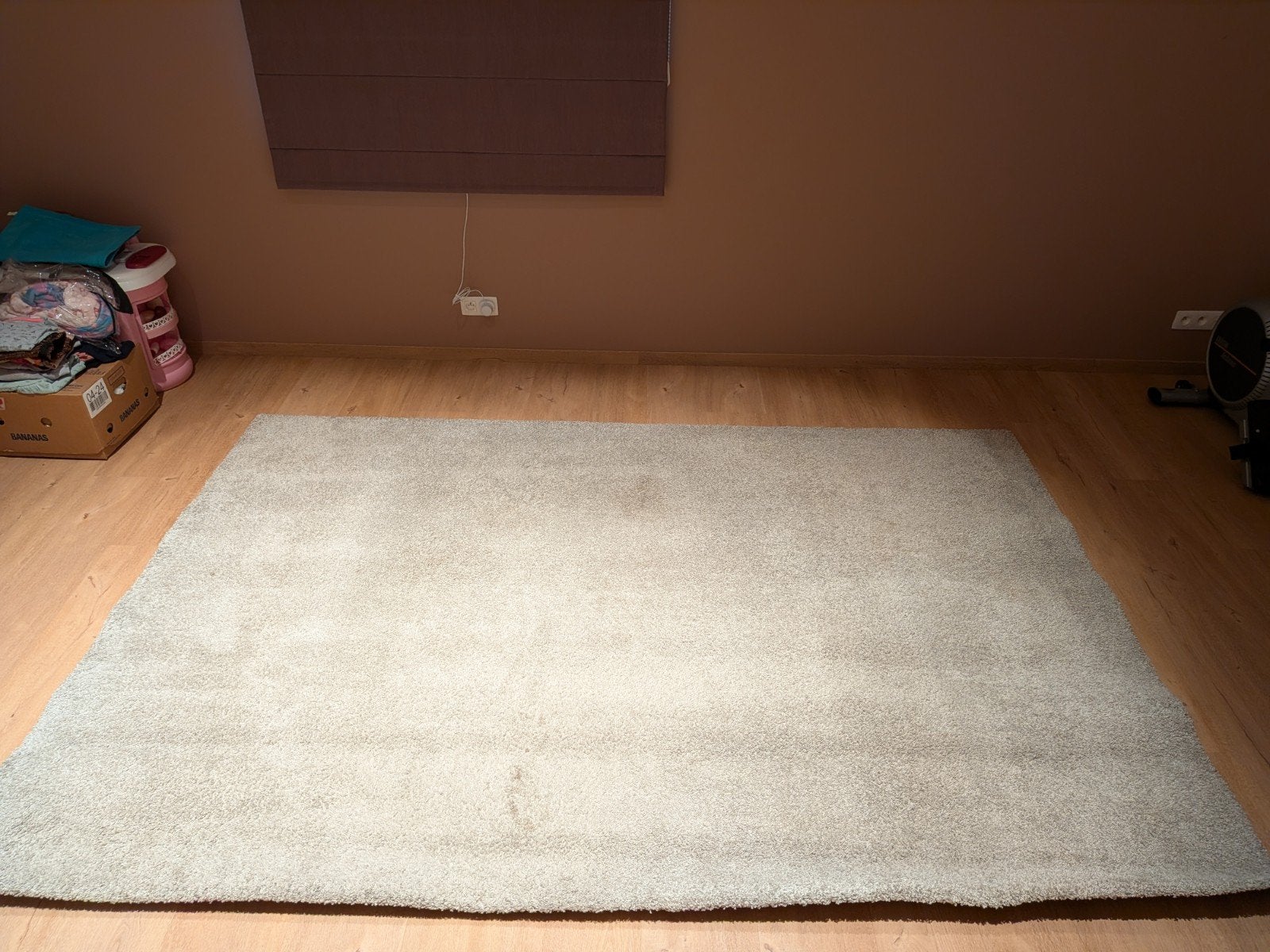 hoogpolig kwalitatief tapijt van Belgische makelij, 200 cm ou plus, 200 cm ou plus, Crème, Enlèvement