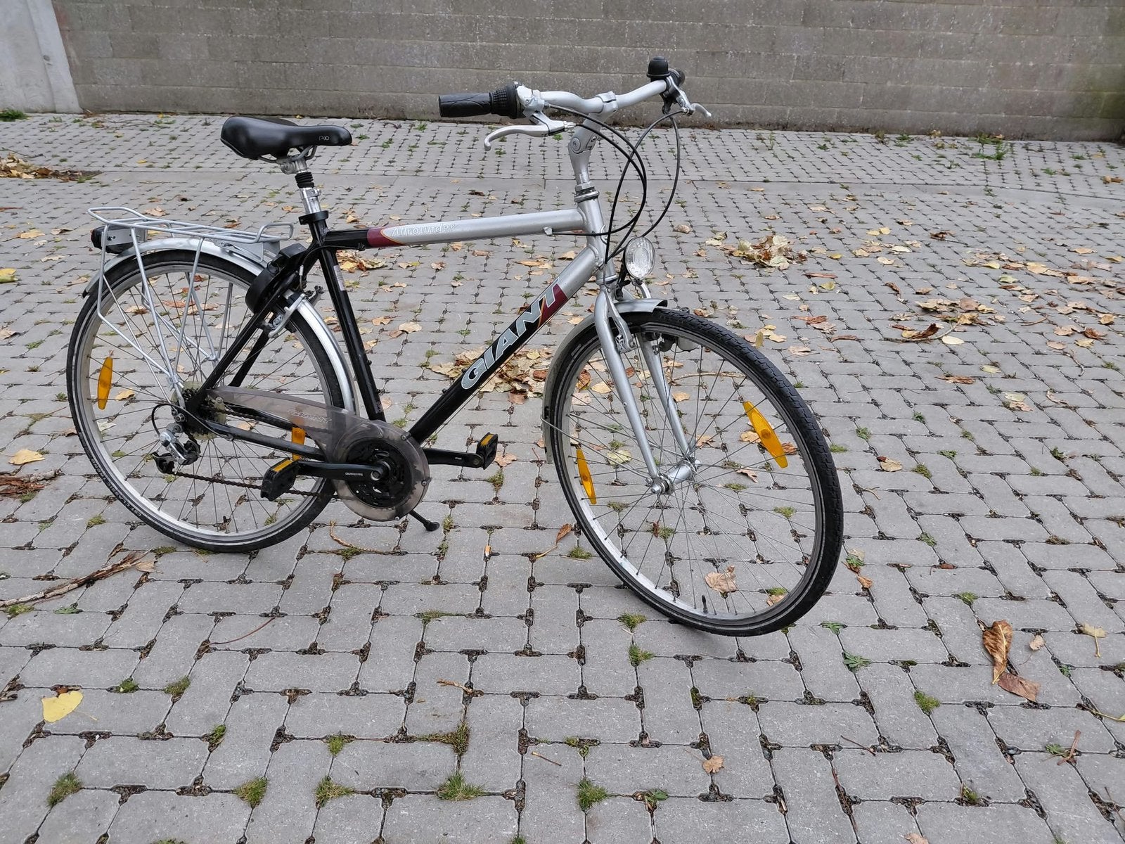 Herenfiets Giant, Ophalen, Velgrem, Versnellingen, Giant