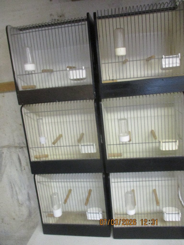 T,T,KOOIEN     hout       Z,G.A.N, Dieren en Toebehoren, Ophalen, Zo goed als nieuw, Hout