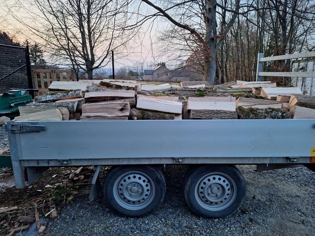 Brandhout, 6 m³ of meer, Ophalen of Verzenden, Essenhout, Blokken