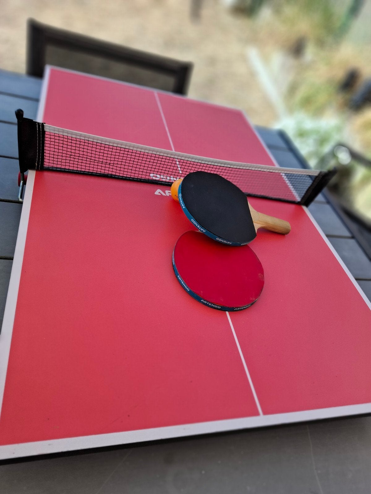 minie table de ping pong, Sports & Fitness, Enlèvement