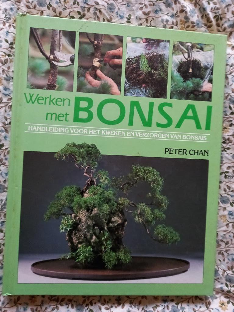Werken met bonsai, Ophalen of Verzenden, Zo goed als nieuw, Overige onderwerpen, Geschikt voor kinderen