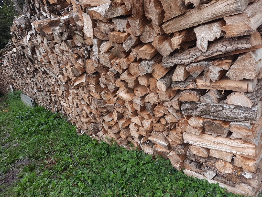 Bois de chauffage sec - peuplier 33 ou 50 cm, Enlèvement, Neuf