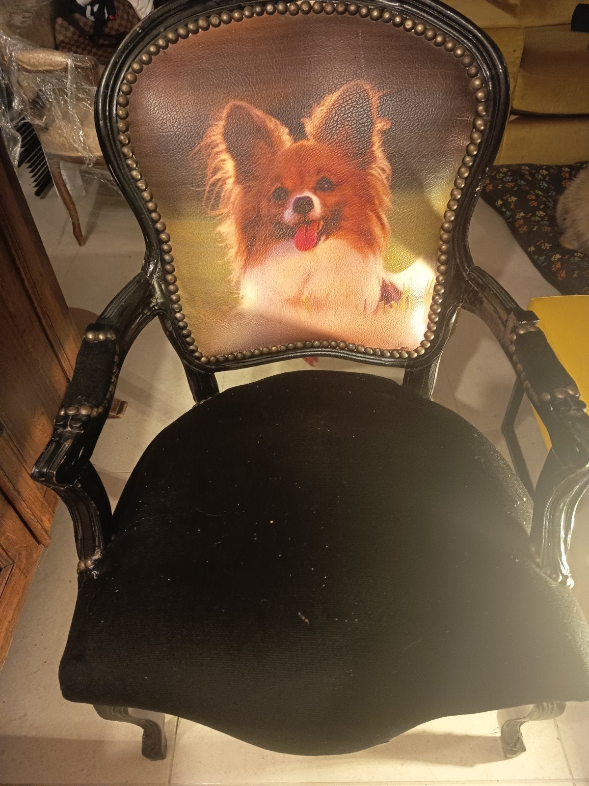 Fauteuil style baroque chien, Comme neuf, Enlèvement, Bois, Une