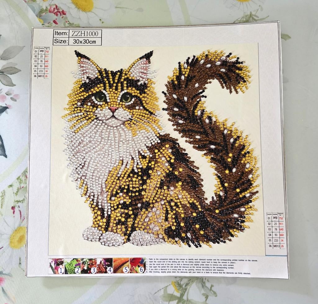 Diamond painting – kat – 30 cm x 30 cm, Ophalen of Verzenden