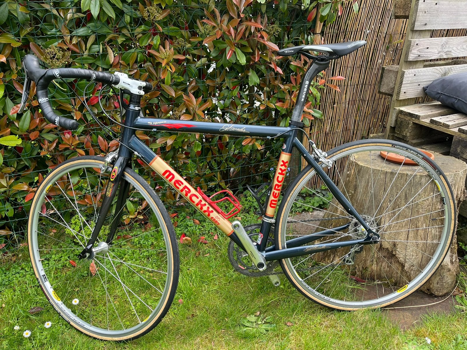 Eddy Merckx Gara (2009) T54, Autres marques, 10 à 15 vitesses, Frein sur jante, Enlèvement
