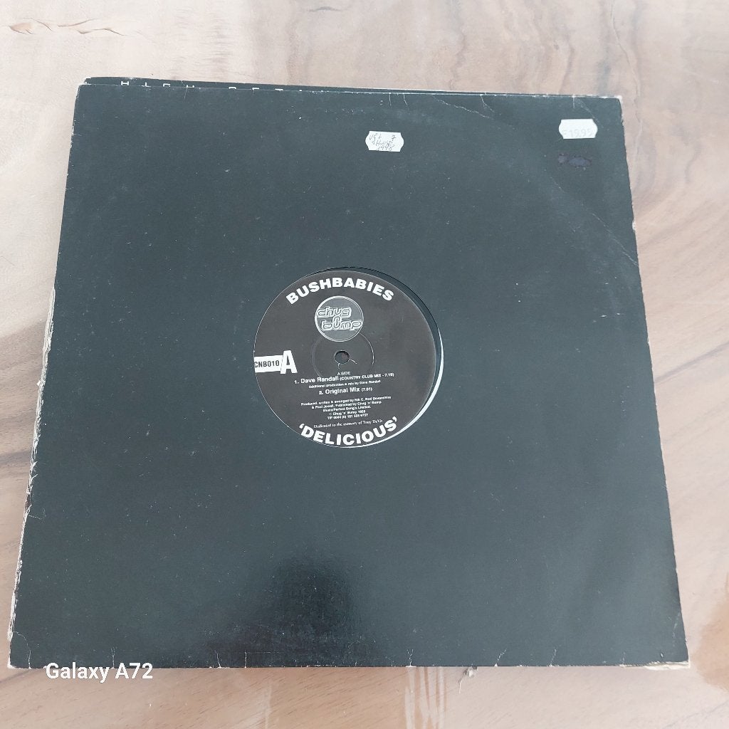 bushbabies delicious 12 inch maxi, Gebruikt, House, Ophalen of Verzenden, 12 inch