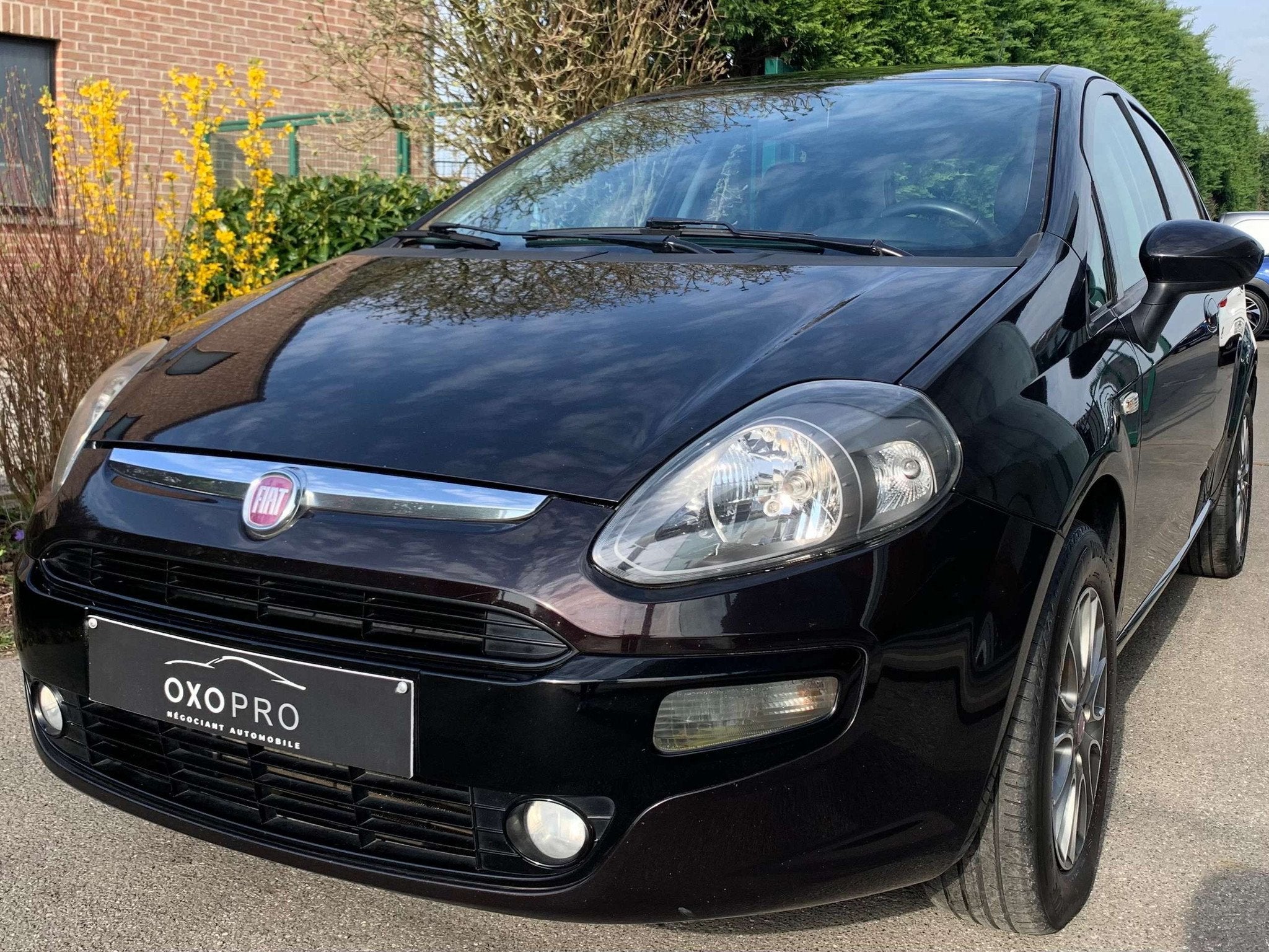 Fiat Punto 1.3 Multijet DIESEL / 5 Portes / Airco / Cruise /, Autos, Fiat, Euro 5, Entreprise, Noir, USB
