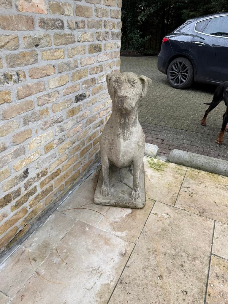 2 stenen hondenbeelden te koop (set of apart), Tuin en Terras, Tuinbeelden, Zo goed als nieuw, Ophalen