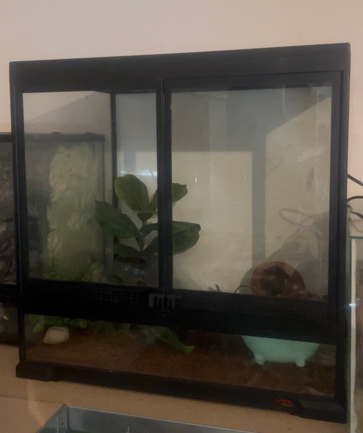 Brede terrarium, Dieren en Toebehoren, Ophalen, Gebruikt