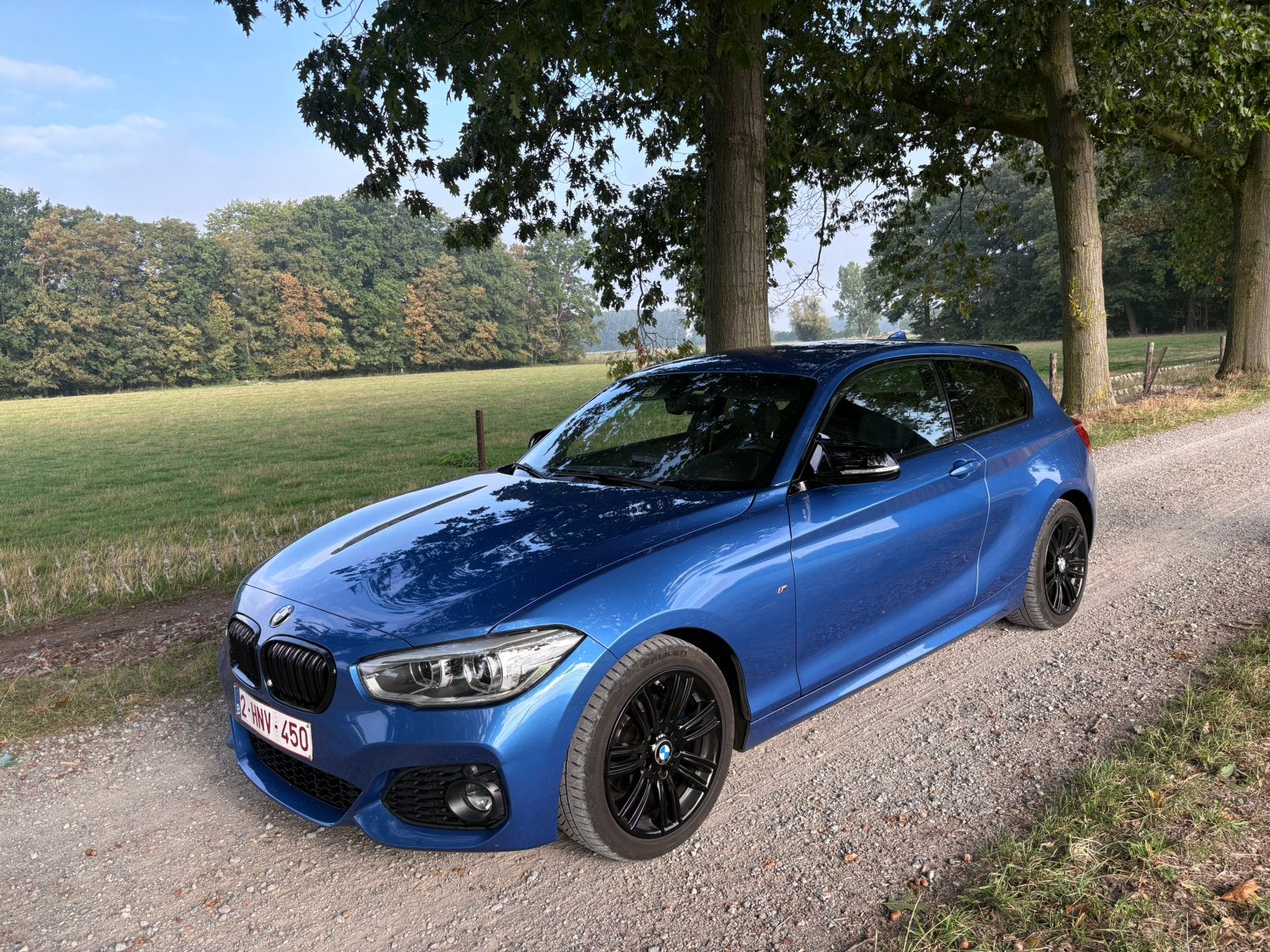 Bmw 118i, Achat, Boîte manuelle, Alcantara, 2 portes