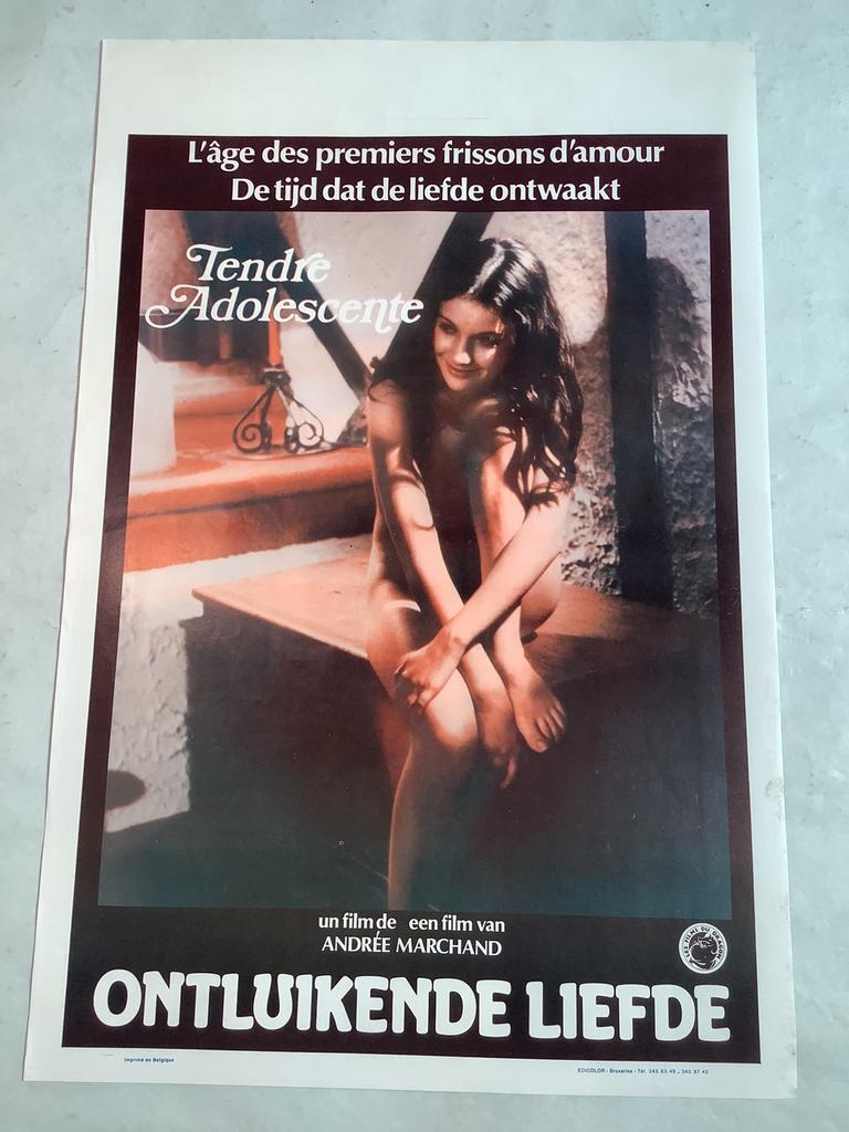 LOT FILMPOSTERS   (22)   36-54 cm, Verzamelen, Ophalen of Verzenden