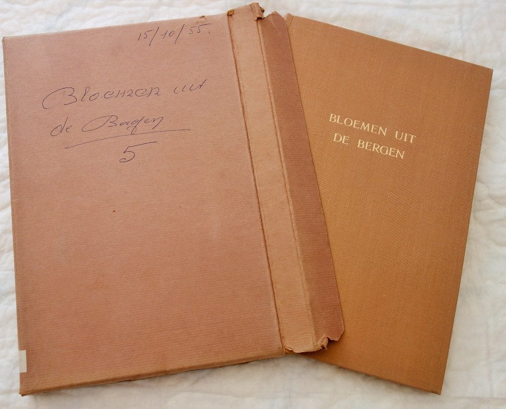 Artis Prentenalbum Bloemen uit de bergen (1954)., Boeken, Prentenboeken en Plaatjesalbums, Ophalen of Verzenden, Zo goed als nieuw