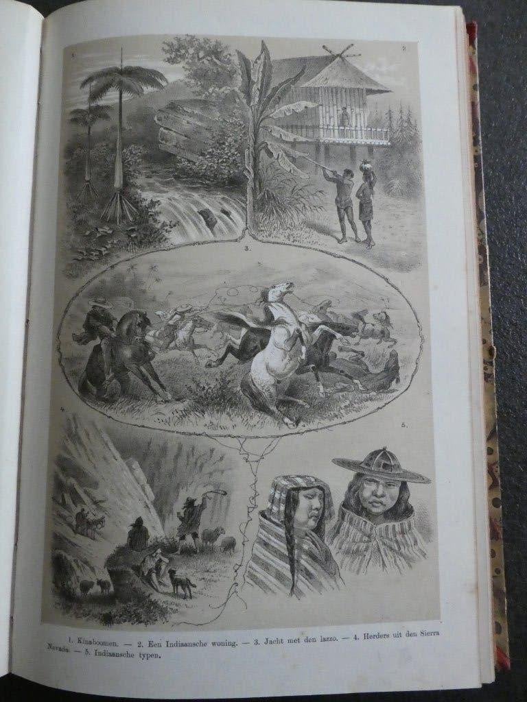 Amerika en Australië - 1884, Enlèvement ou Envoi