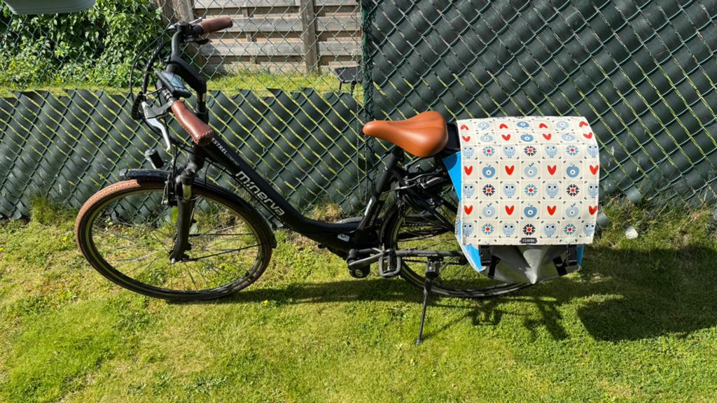 Minerva E-bike, Autres marques, Utilisé, 30 à 50 km par batterie, Enlèvement