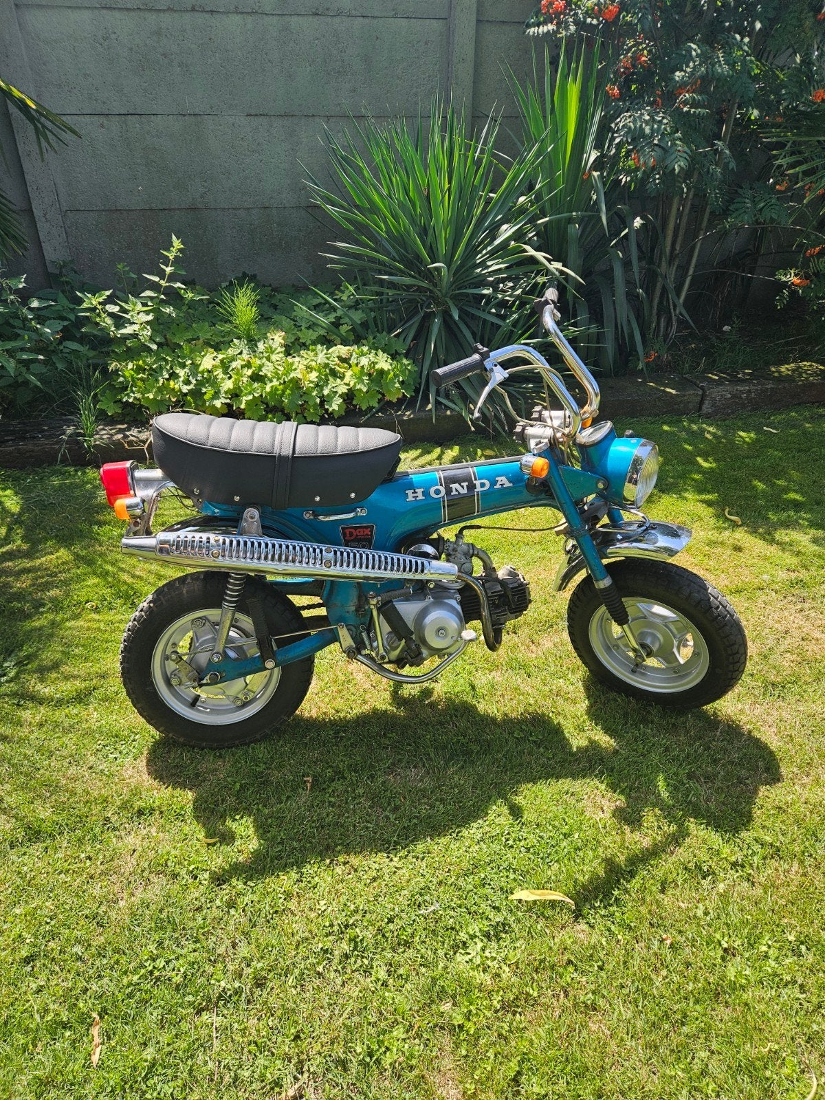 originele Honda dax, 49 cm³, Comme neuf, Classe B (45 km/h), Enlèvement