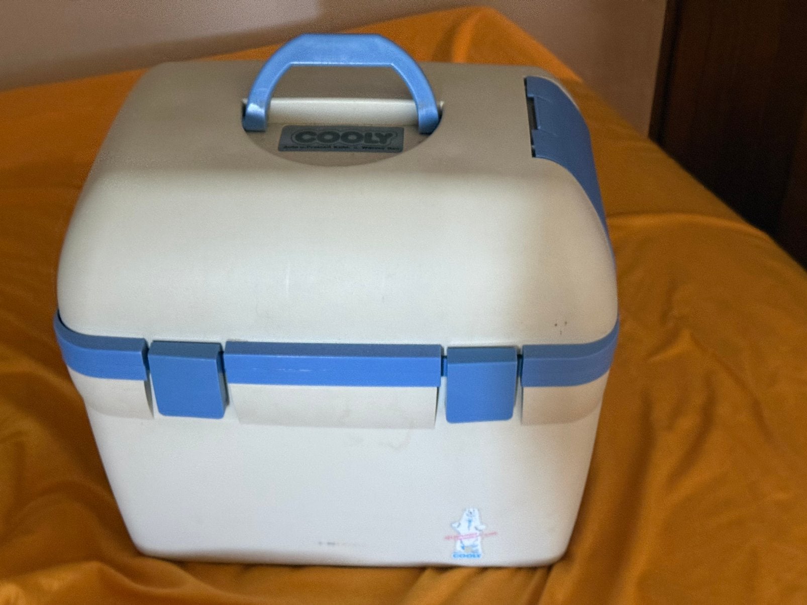 Frigo 12 volt 220 volt warm&koud werkt perfect., Caravanes & Camping, Enlèvement, Glacières