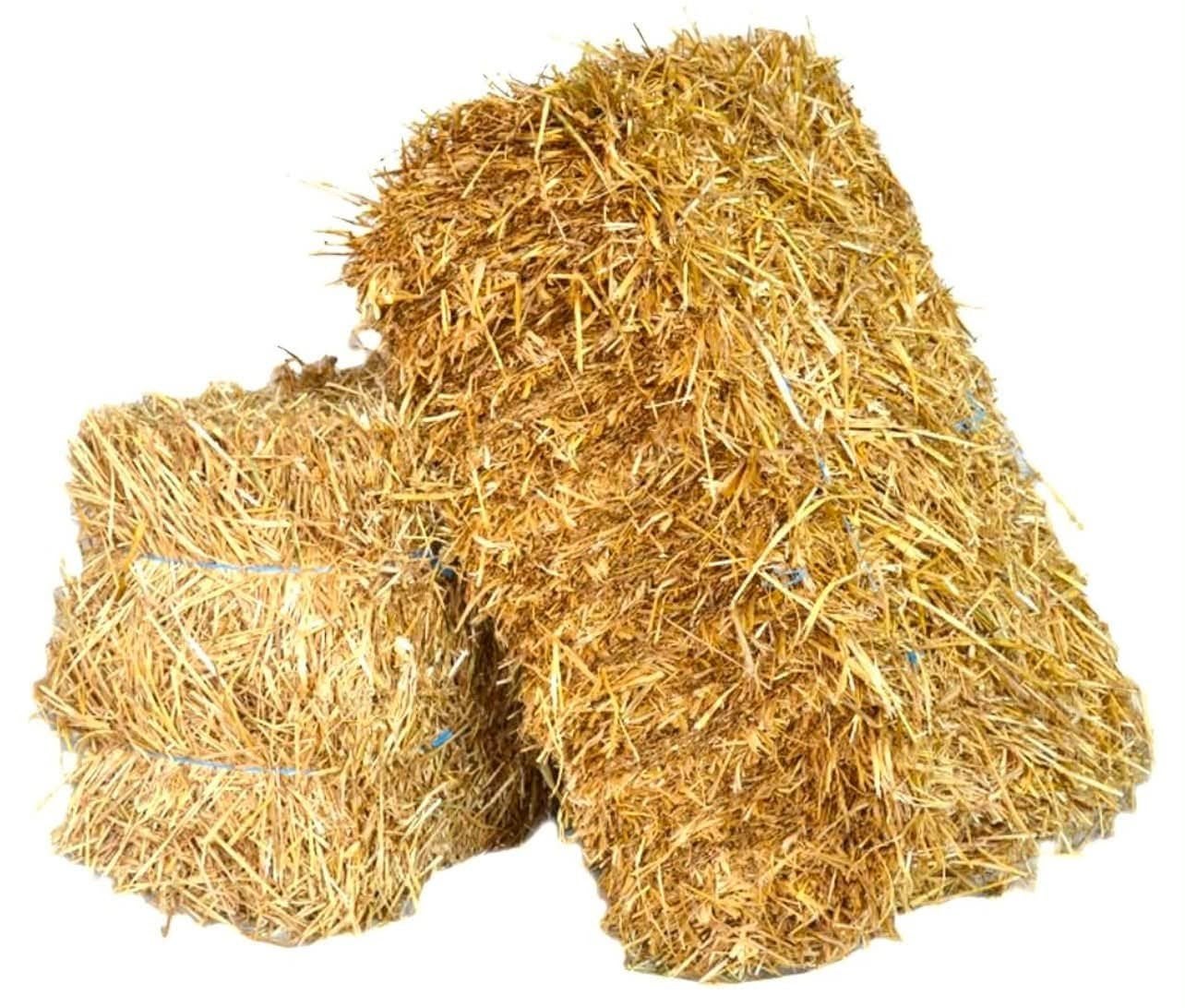 Hooi en stro te koop, Dieren en Toebehoren, Dierenvoeding, Ophalen