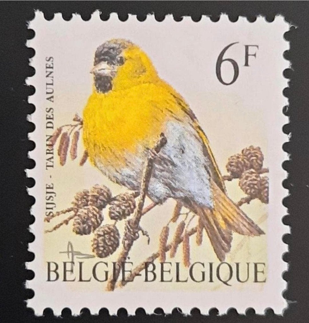 Belgique : COB 2665 ** Oiseaux 1996., Timbres & Monnaies, Sans timbre, Neuf, Enlèvement ou Envoi, Non oblitéré