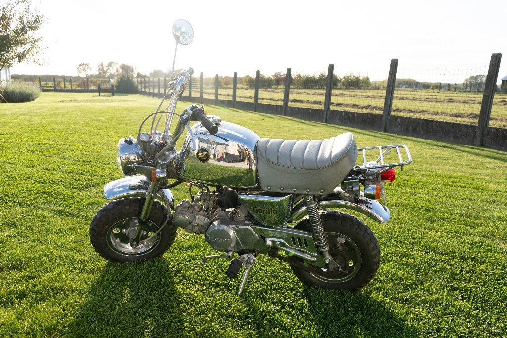 Zeldzame Honda Gorilla Chrome – 1999, Fietsen en Brommers, Ophalen, Gebruikt, 49 cc, Klasse B (45 km/u)