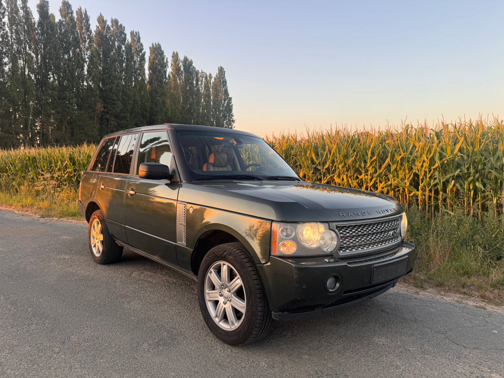 CT Vierge + Immat. 3.6 TDV8 Land Range Rover Vogue L322 2007, Autos, Land Rover, Cuir, Achat, Beige, Carnet d'entretien
