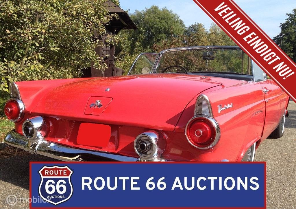 Ford Thunderbird | 1955 | Route 66 Auctions, Autos, Achat, Entreprise, Boîte manuelle, Autre carrosserie
