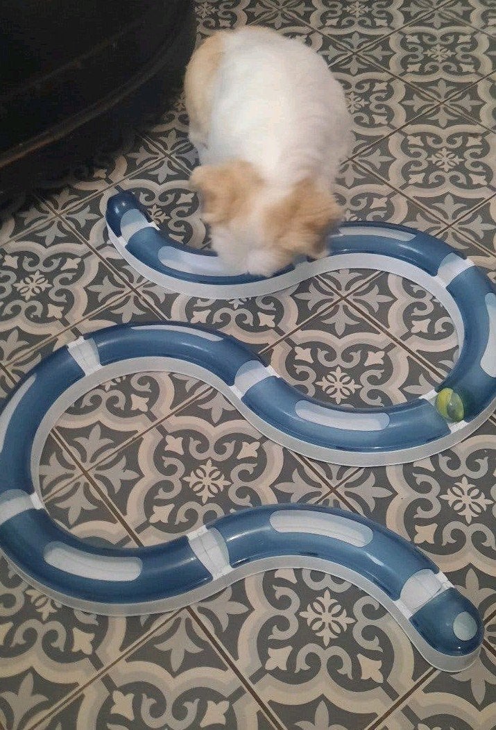 jouets pour chats, 3 pièces, piste à roulettes pour chat, Enlèvement ou Envoi, Comme neuf, Rails de jeu